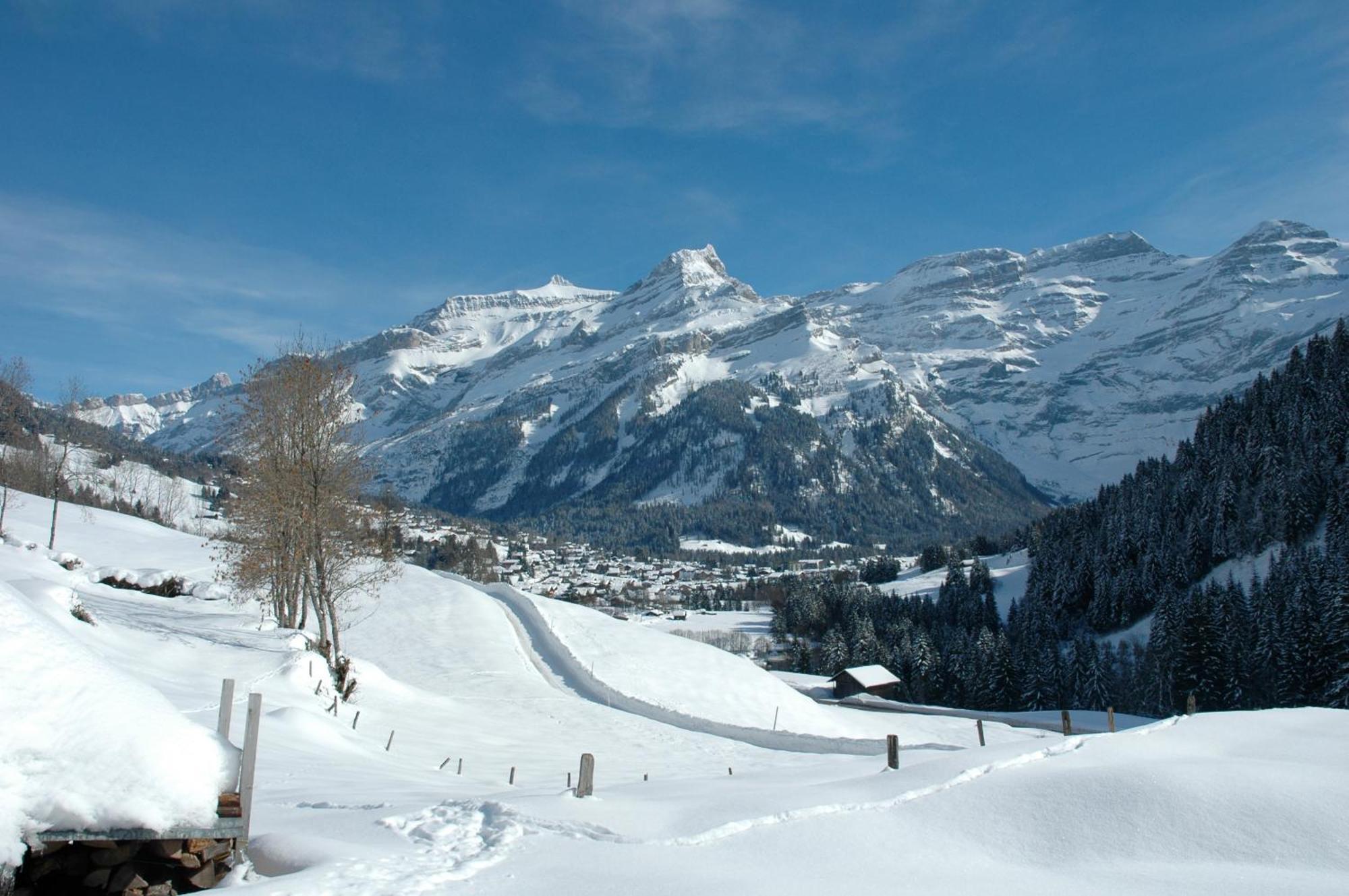 Swiss Historic Hotel du Pillon Les Diablerets Extérieur photo